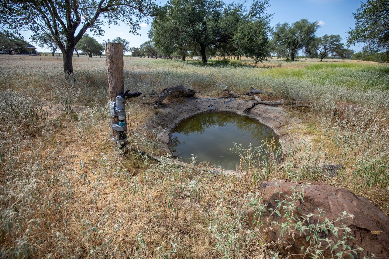 Oaks, Wildlife, & the Quiet of the Countryside | 26.99± Acres | Poteet, TX