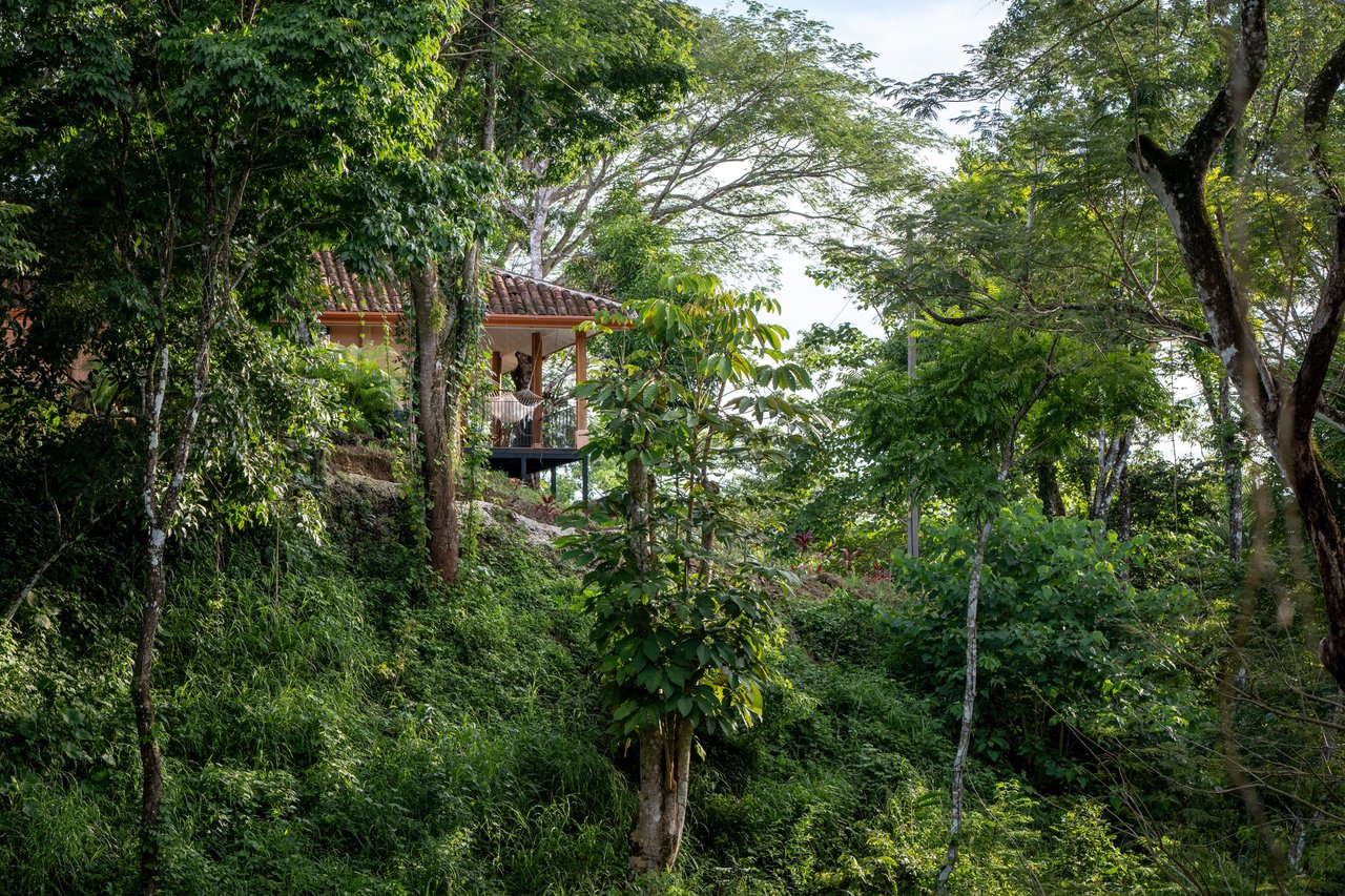 Chakra Bohemian Retreat / Las Delicias, Montezuma , Cóbano