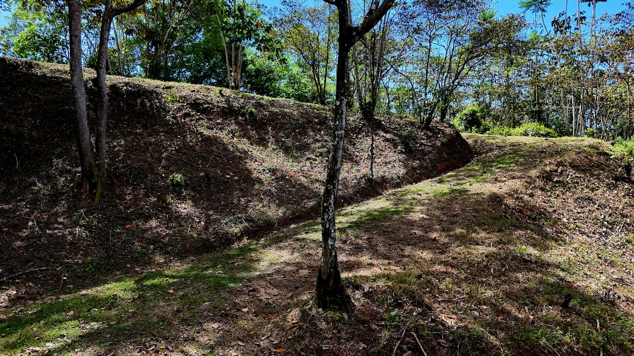 Beautiful mountain view land located in a quiet community in Ojochal. 