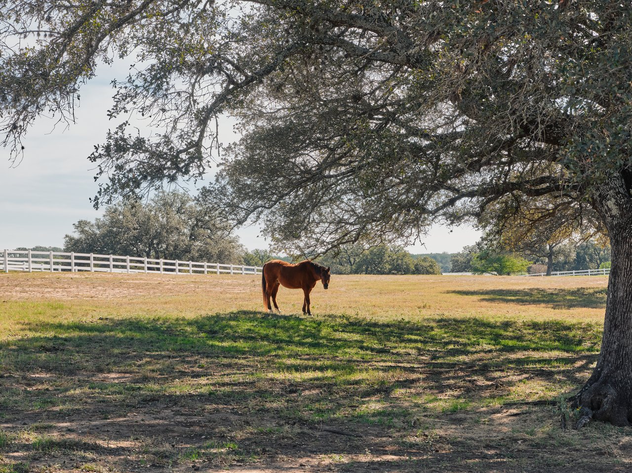 Peach Creek Estate