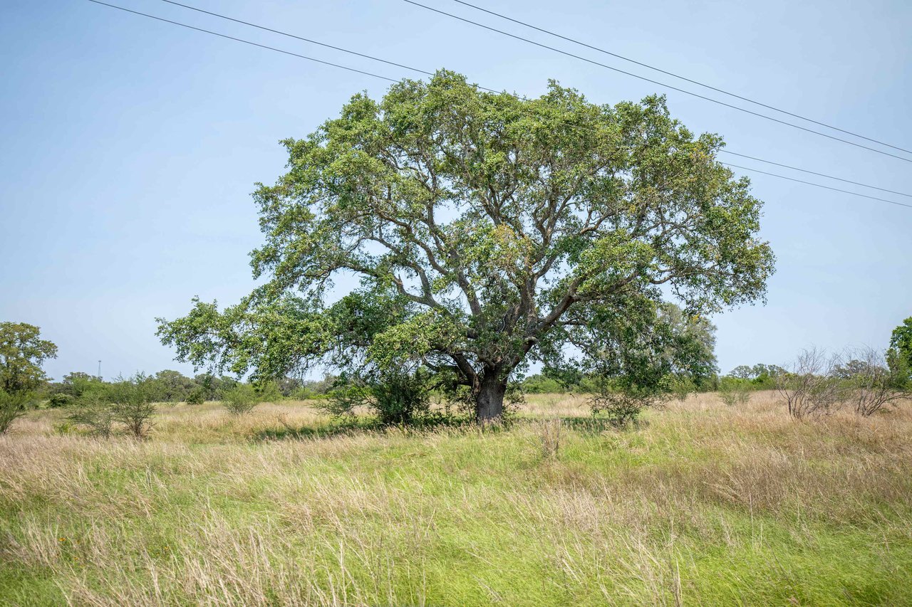Green DeWitt Rd | 40.82± Acres | DeWitt County