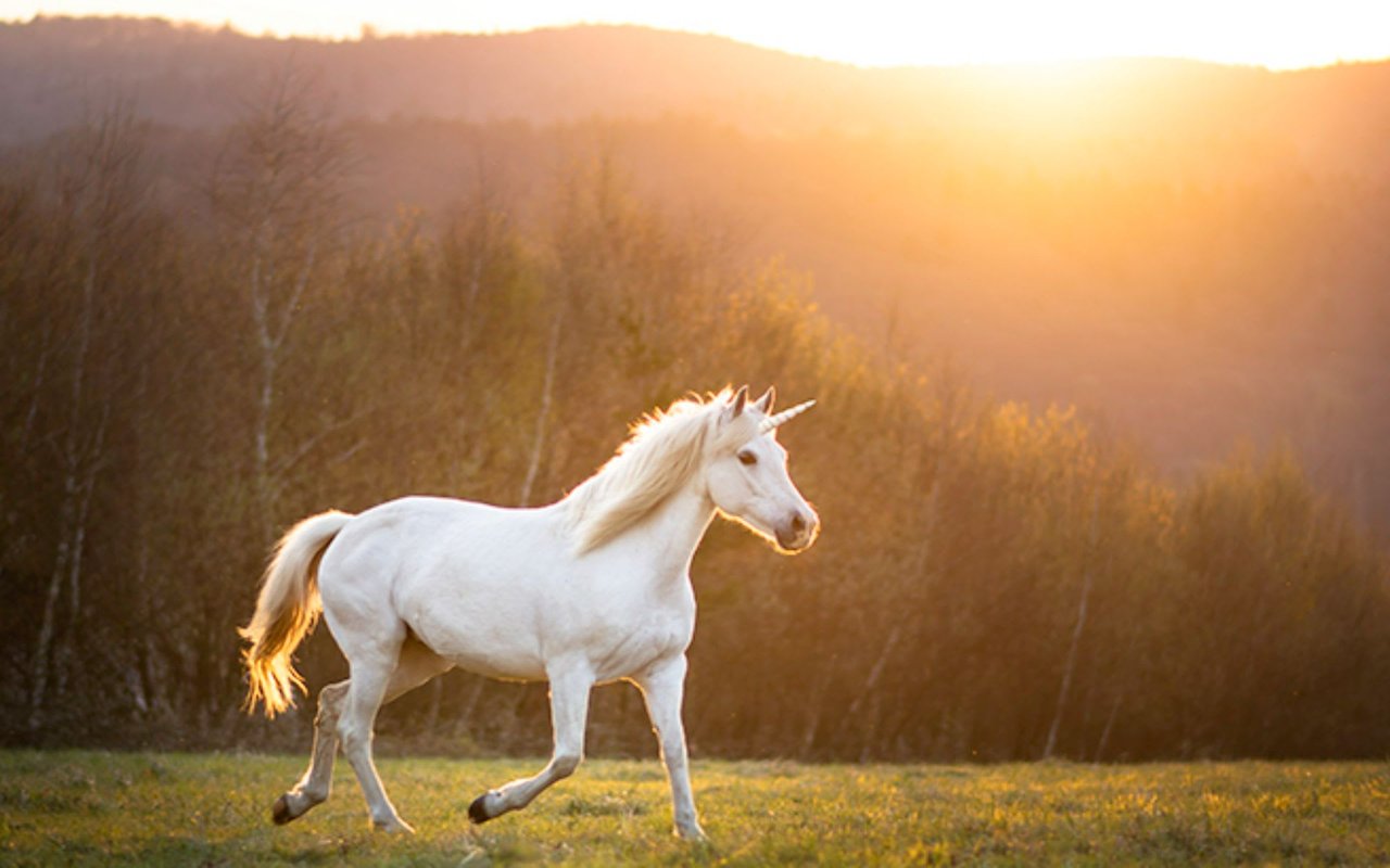 Today’s Real Estate Market: The ‘Unicorns’ Have Galloped Off