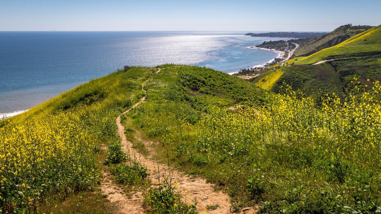 Best Hiking Trails Near Trancas Canyon: Solstice Canyon to Escondido Falls