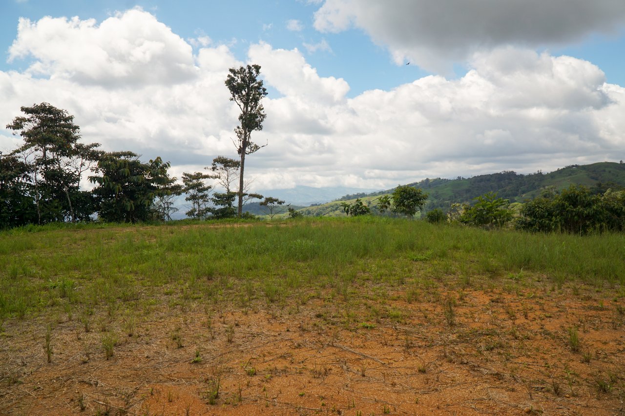 REDUCED! 77-Acre Mountain Paradise with Waterfalls & Epic Views in Santa Elena 