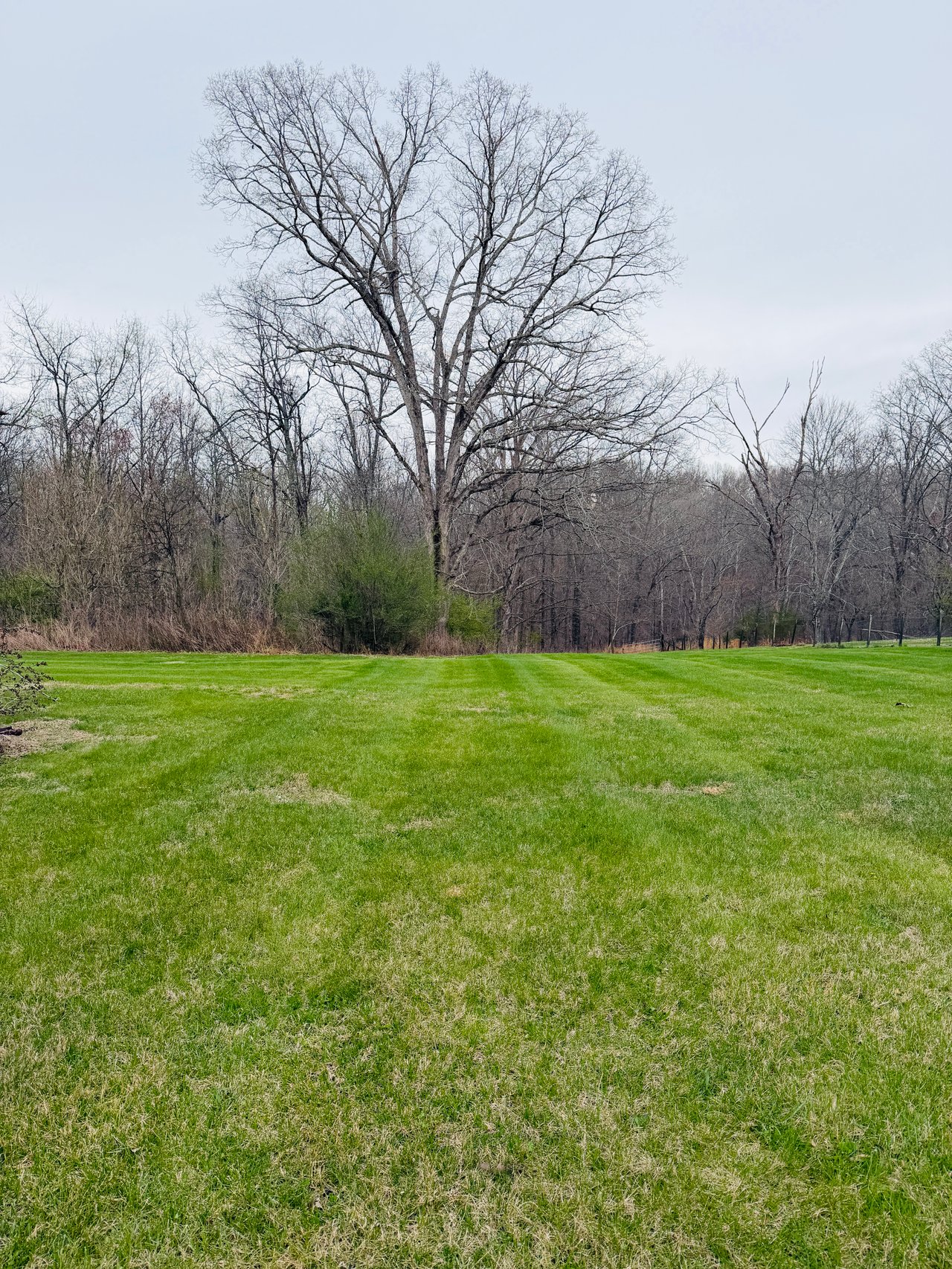 Nashville Equestrian Property