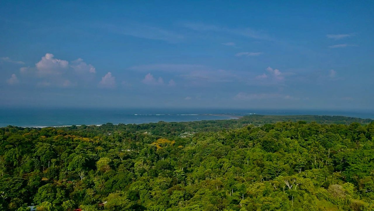 Prime Ocean and Whale tail View Development Land In Uvita