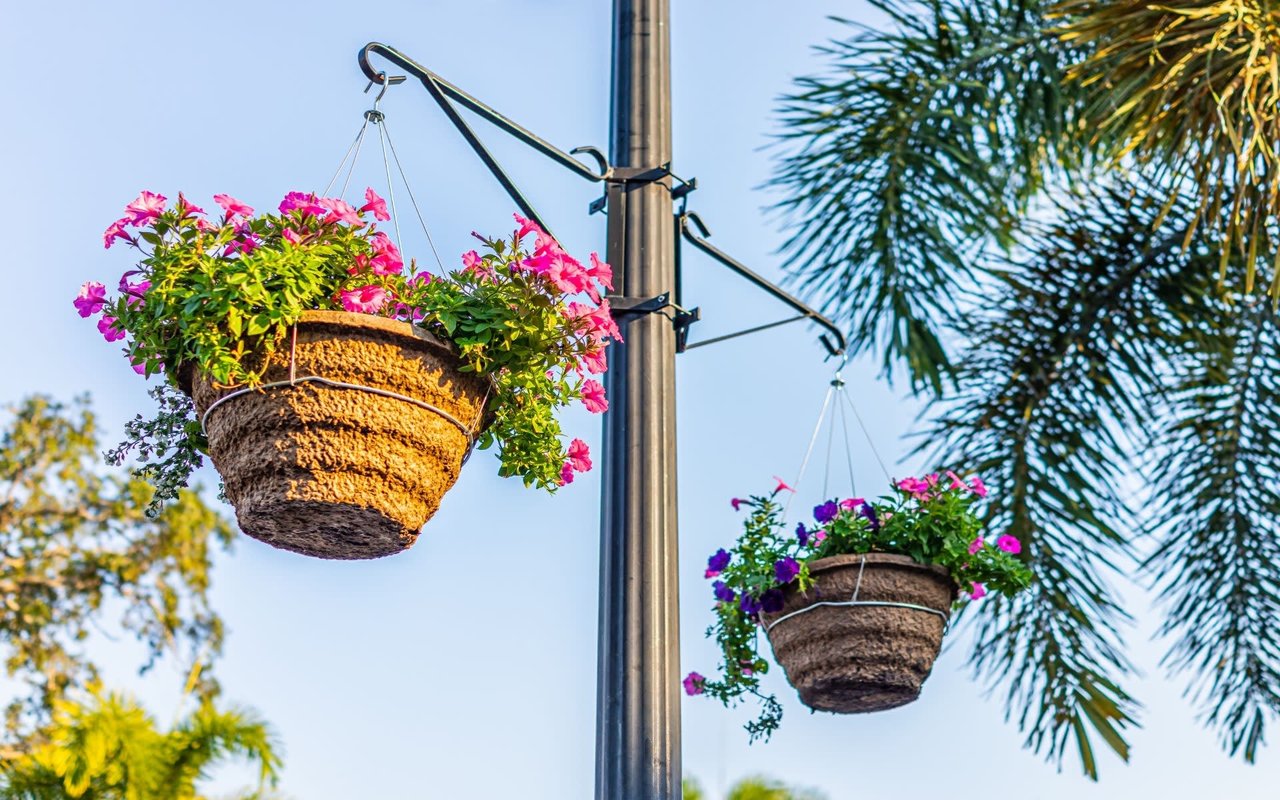 Trees for Toys - 2016