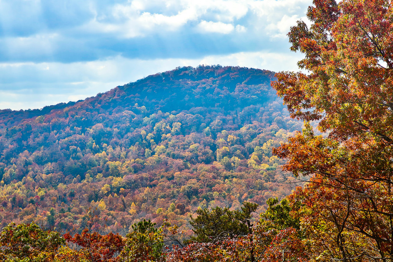 How Fall Comes To Big Canoe: The Trails, The Festival, And A Clubhouse That Feels Different This Year