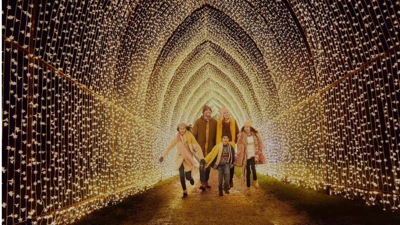 Plan a Perfect Winter Day Out in San Diego