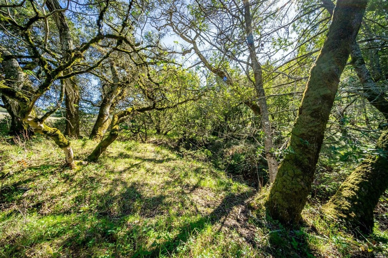 5289 Sonoma Mountain Rd