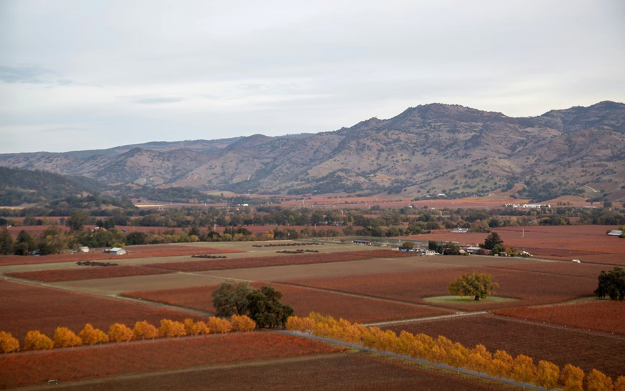 Best Napa Valley Neighborhoods for Peace and Privacy