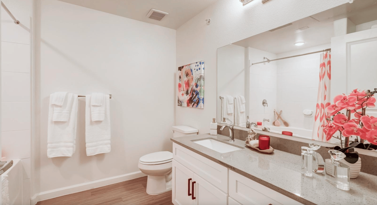 6 Weeks Free in Pflugerville