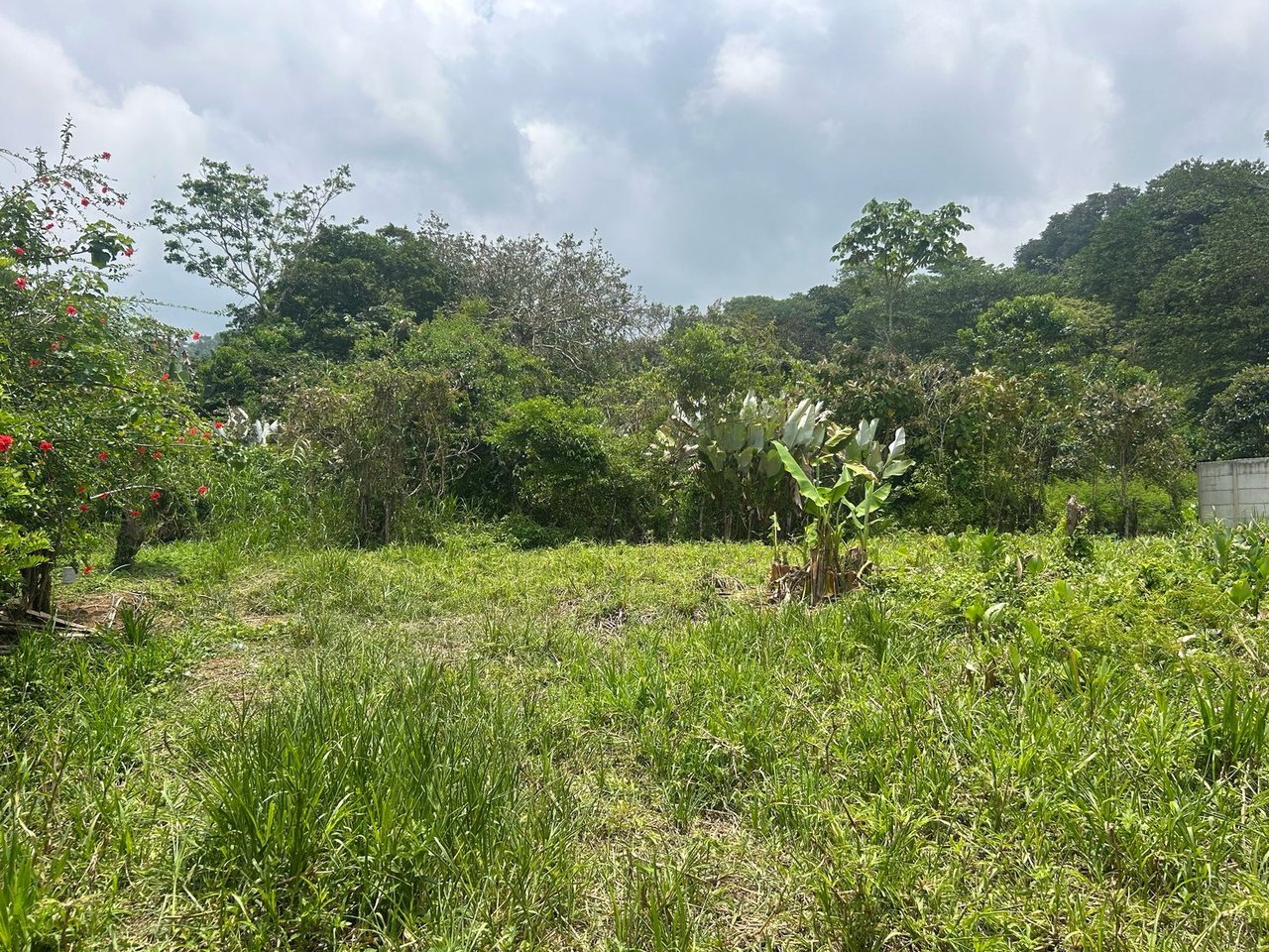 Affordable beach lot in Uvita