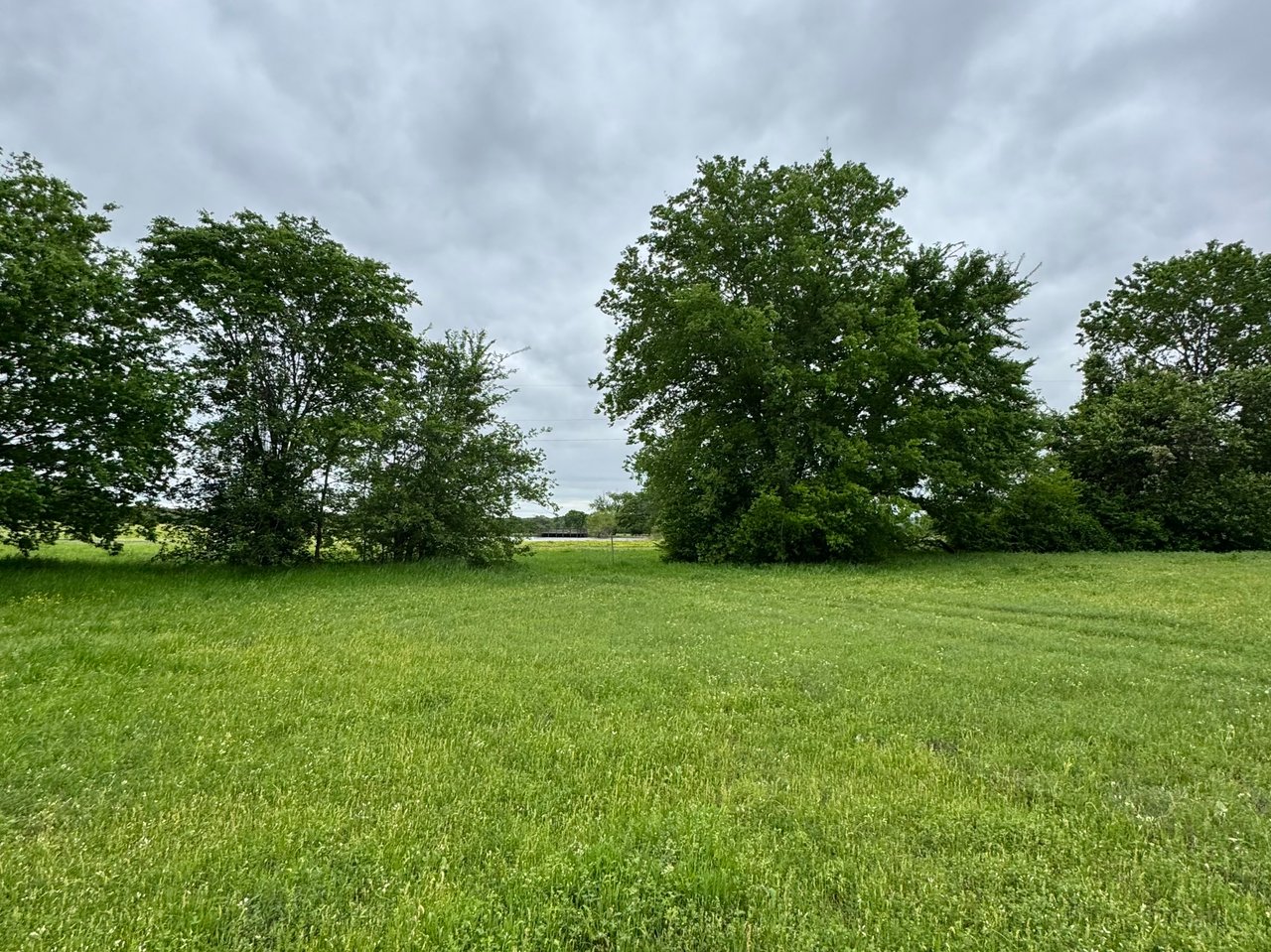 TBD FM 753 (12± Acres)