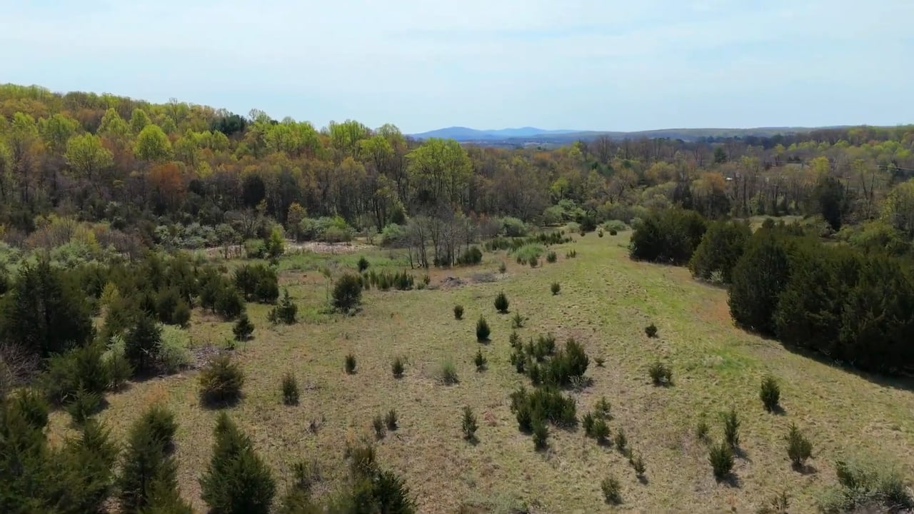 Premier Estate Lot in Prestigious Leesburg Enclave
