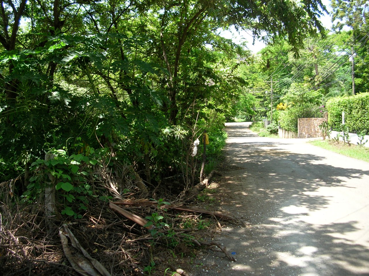 Beachside Corner Lot with Water, Playa Hermosa, Carrillo, Guanacaste