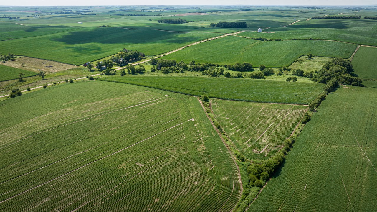 +/- 80 Acres E1/2 SE1/4 13-20-3 Adams Township, Colfax County, Nebraska