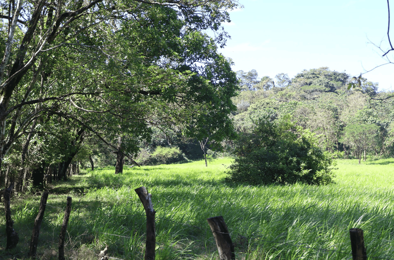 Eco Sanctuary In Playa Marbella - 250 Acre Riverfront