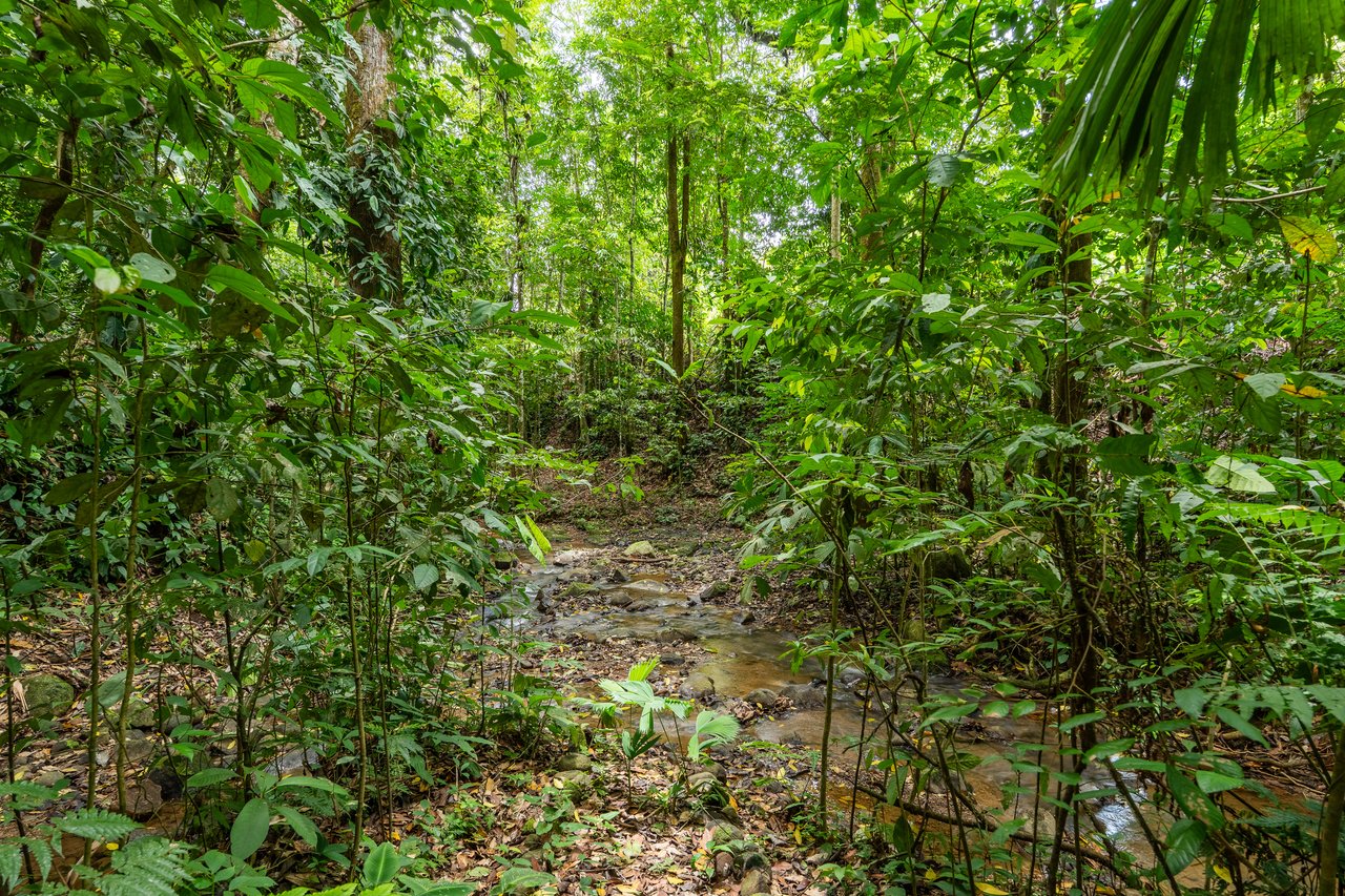Ojochal Home for Sale with Pool, Creek & 1.6 Acres