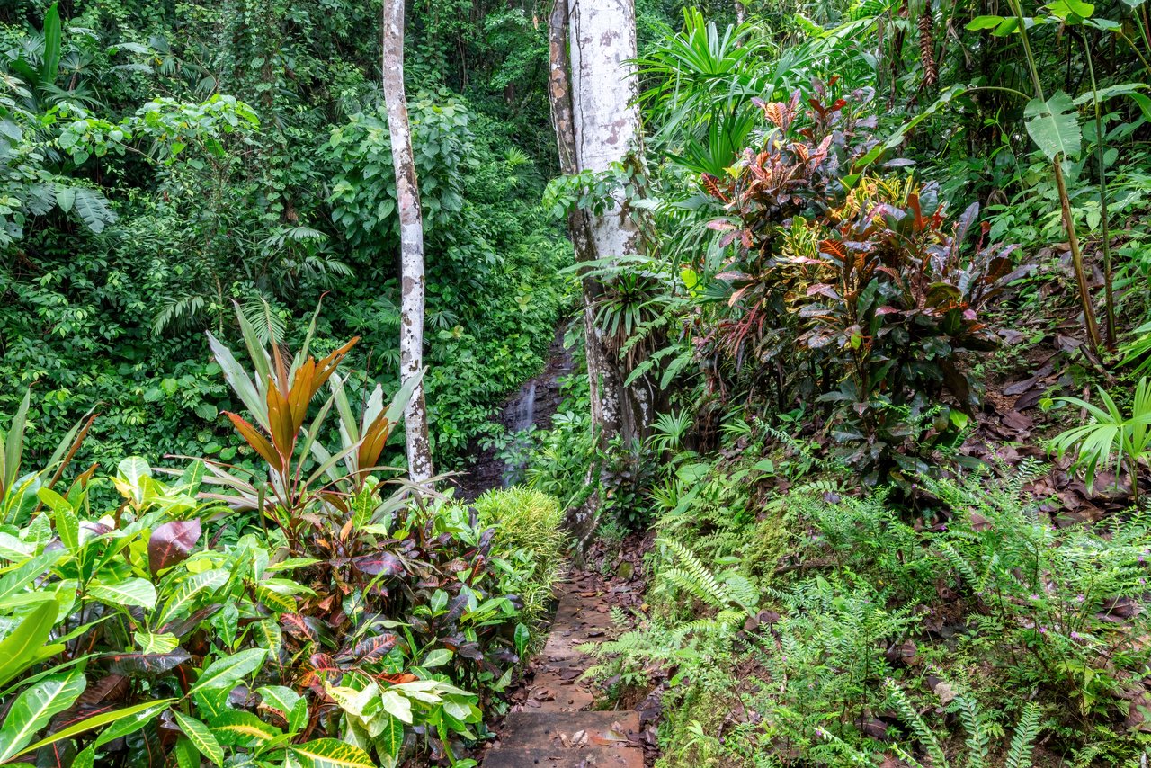 Waterfall Retreat with Casita & Build-Ready Lot in Cascada Azul, Baru