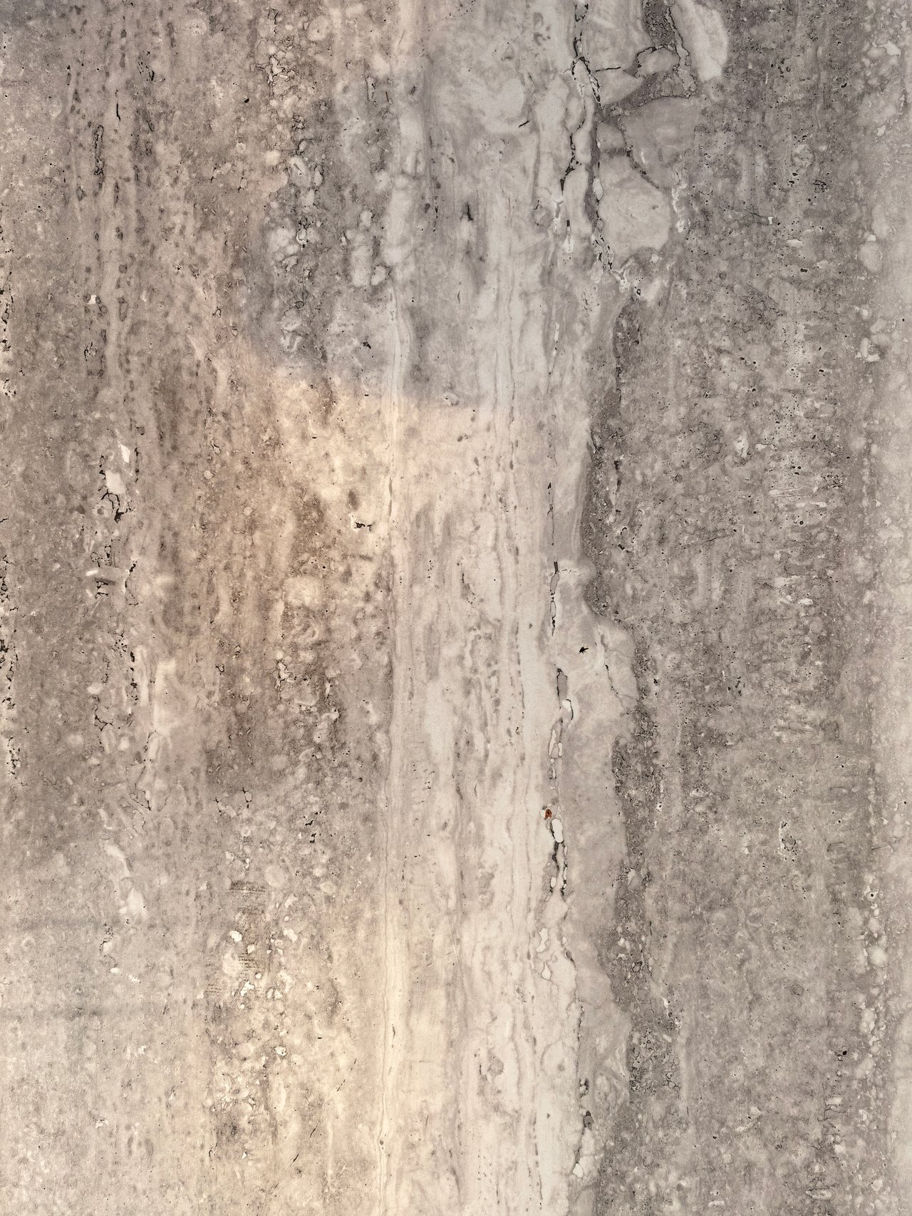 Weathered beige stone surface with pale veins, cracks, and mottled gray patches.