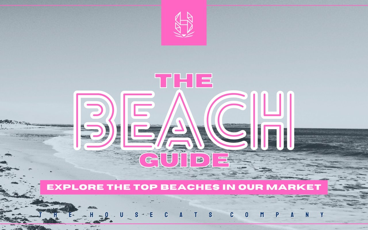 The Chesapeake Bay's Best Beaches: Coastal Escapes