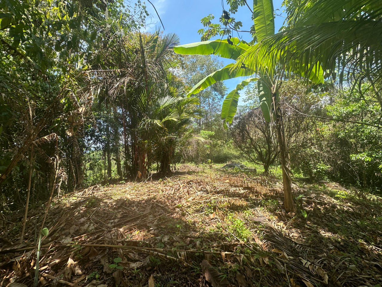 Ocean View Estate Lot with Private Waterfall – Uvita
