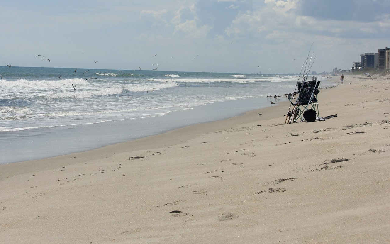 Sandy beach with rolling surf, seabirds, fishing chairs, and beachfront high-rises in the distance.
