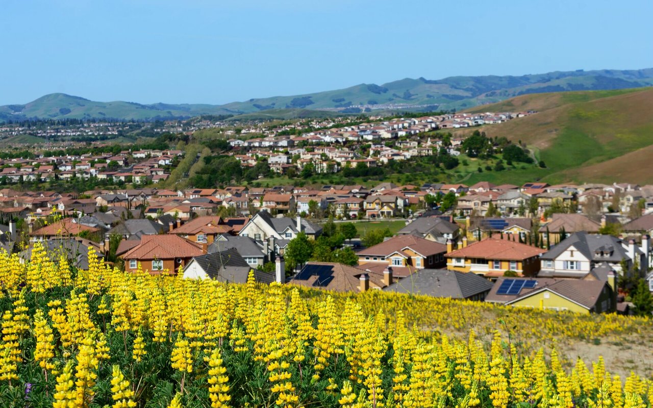 Salinas