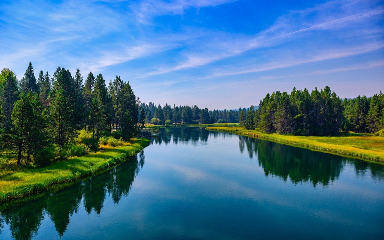 Calm river reflecting evergreen trees along bright green banks beneath a blue sky.