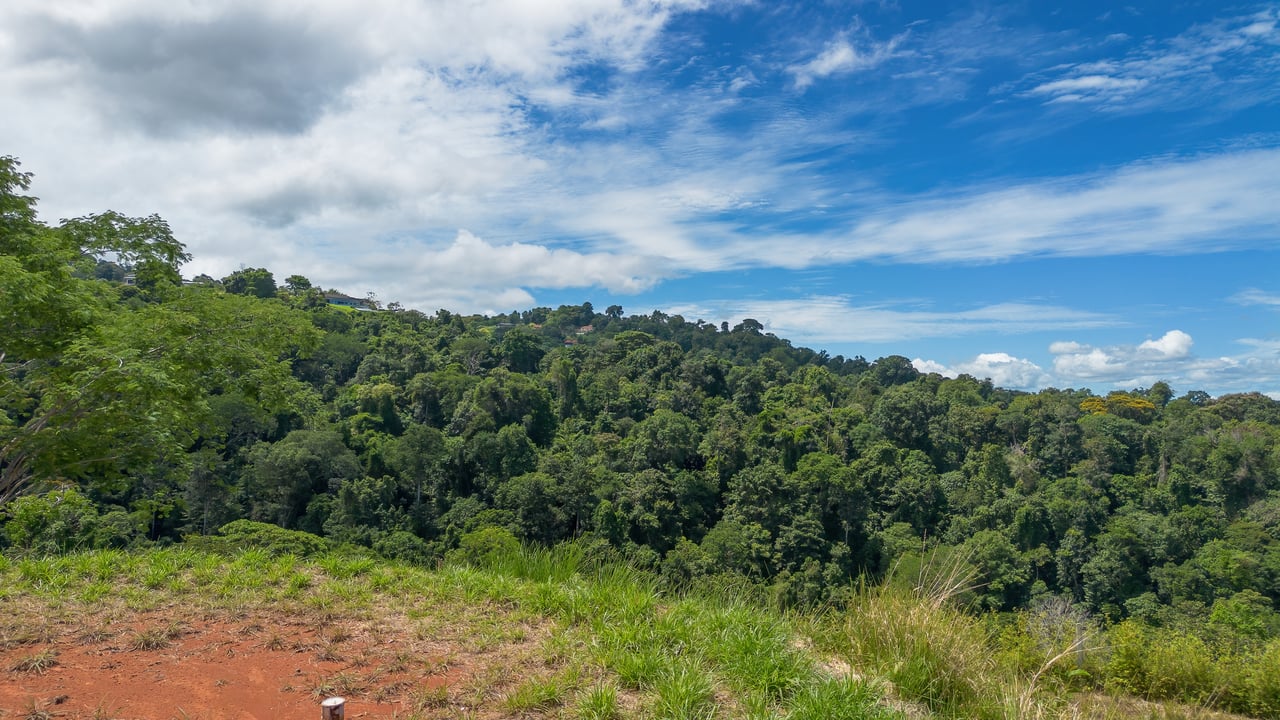  Luxury Ocean View Lot in Piñuelas - Premier Building Site 
