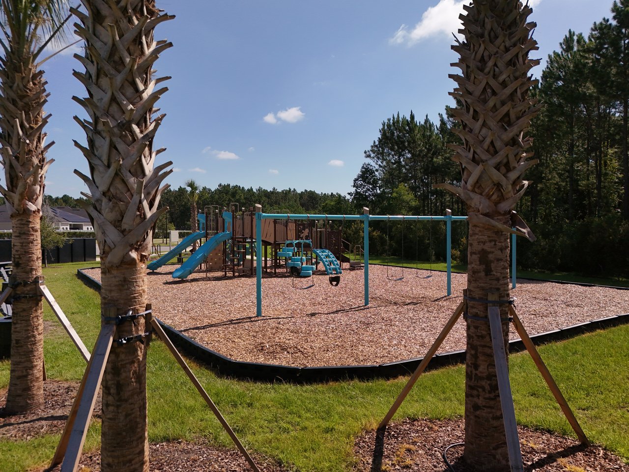 Neighborhood playground with blue slides and swings, framed by palm trees.