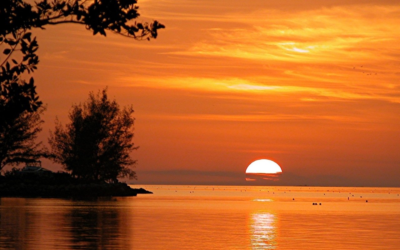 December 2020 Market Update