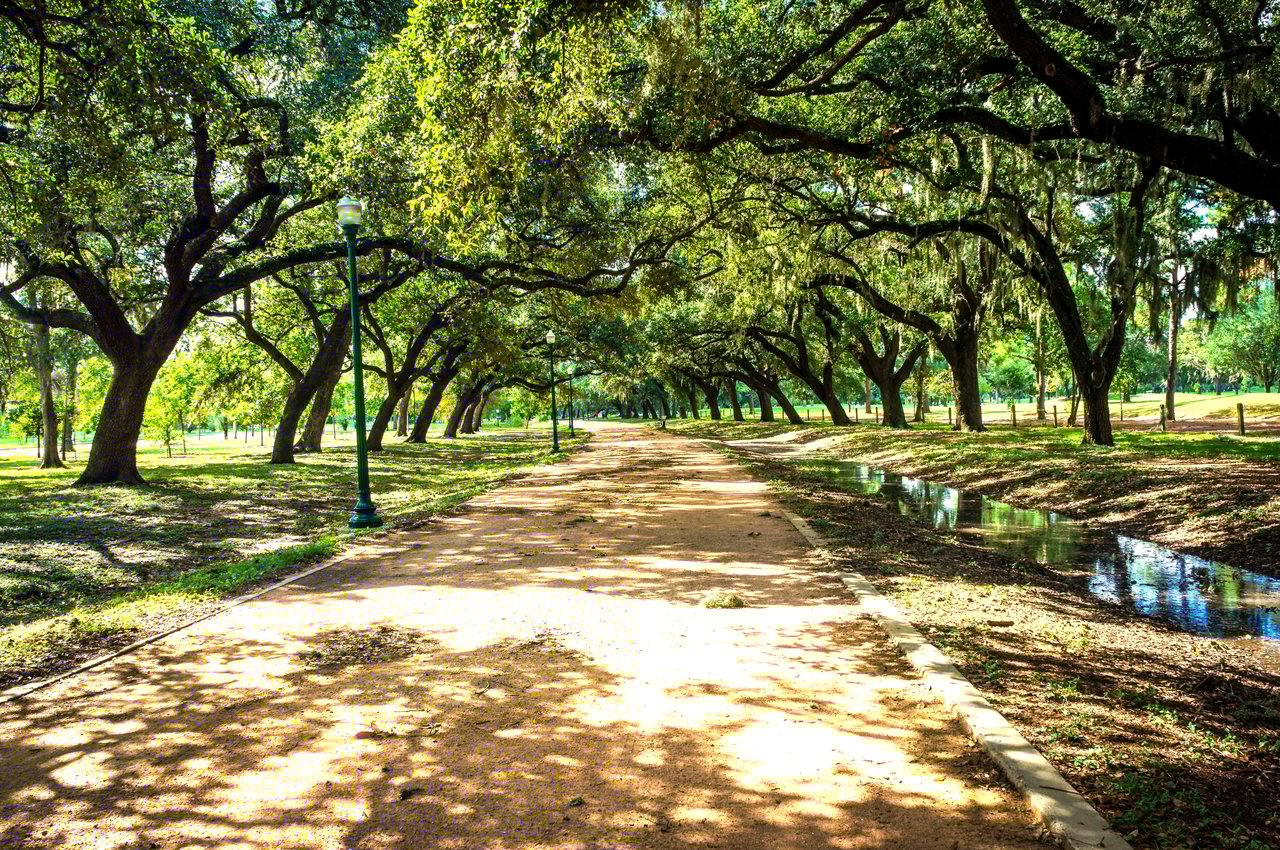 Tree-lined walking trail at Hermann Park in Houston, Texas, featuring oak trees, green space, and recreation paths for outdoor activities.