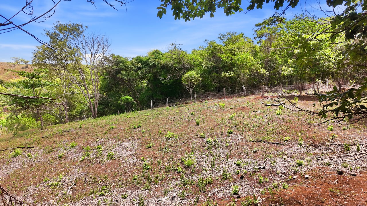 3.4 Acres of Quiet Country Living | 12 minutes from the Beach - Tempate 