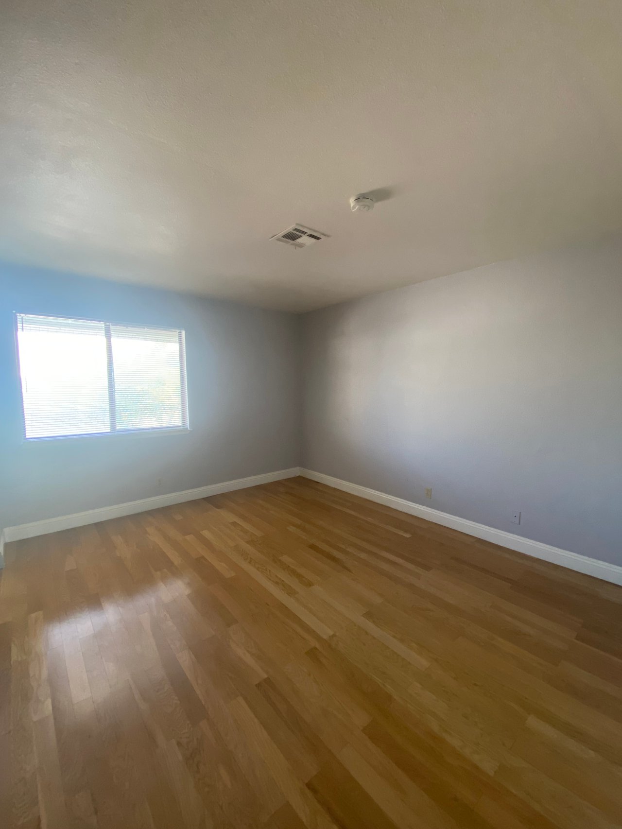 2807 Tulip Court #1