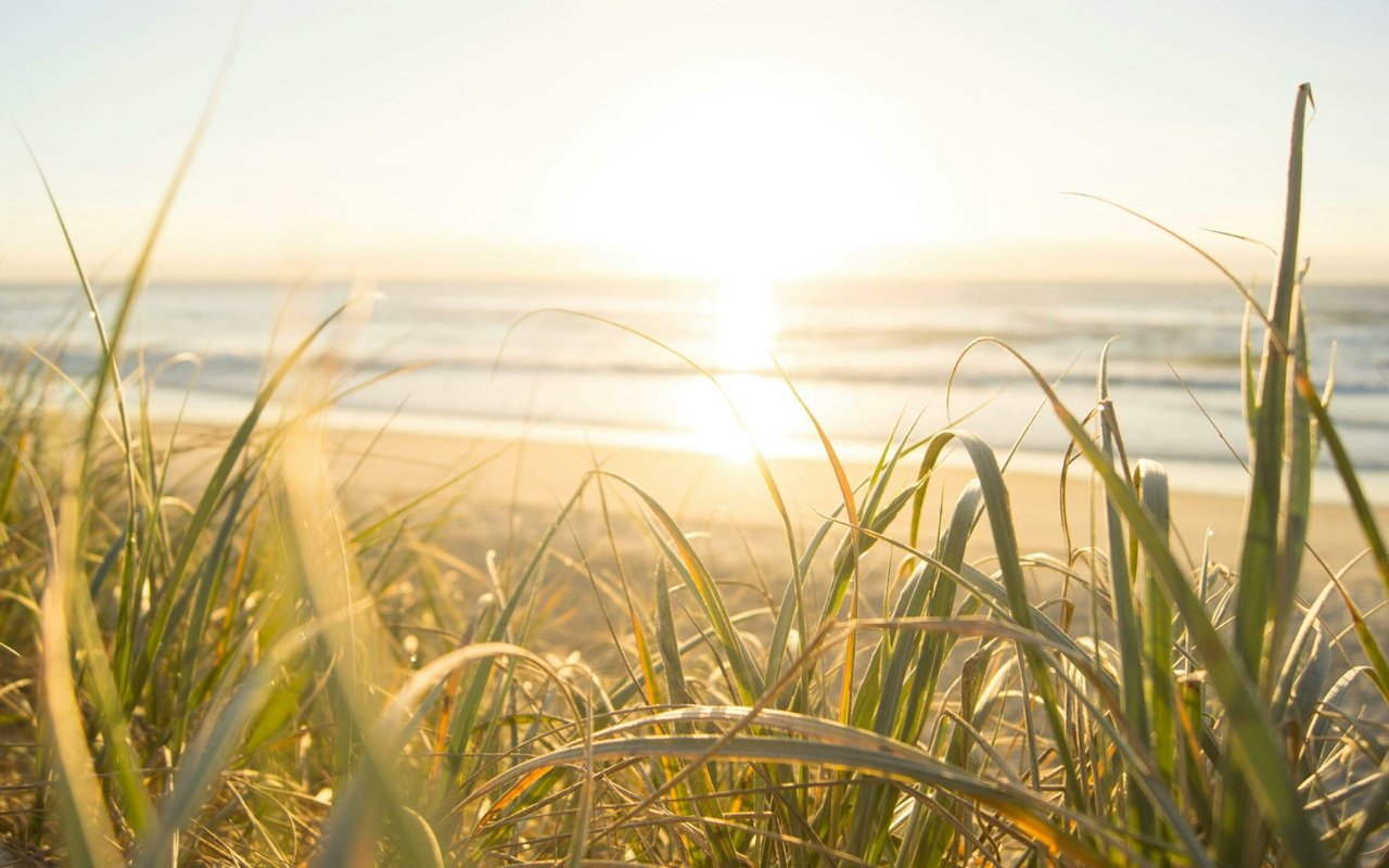 4 Ways to Conserve Your Home’s Energy this Summer
