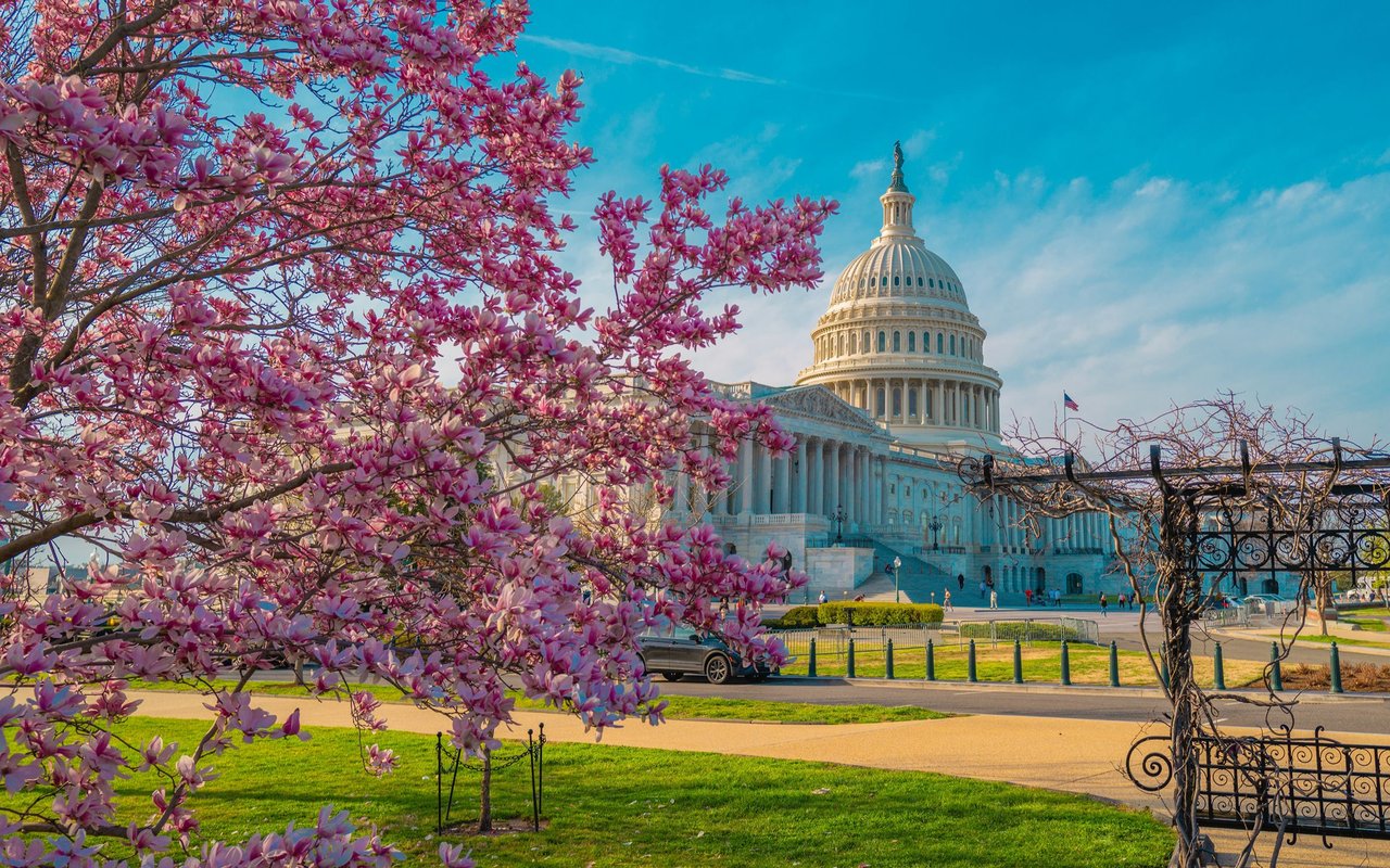 Capitol Hill 