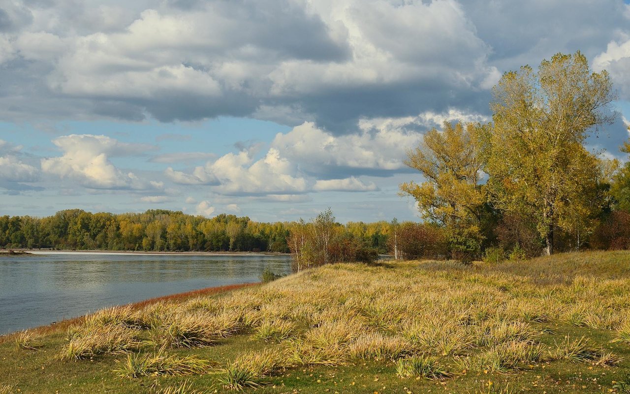 Elkhorn