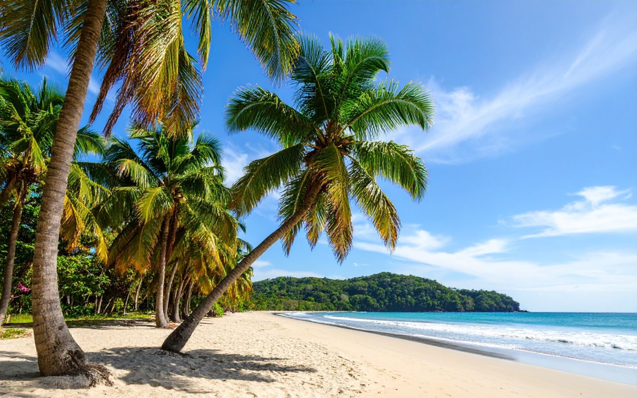 Tamarindo