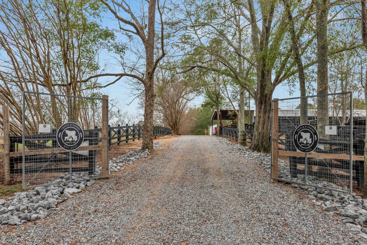 Your California Dream Property Exists—It's Just in Mississippi