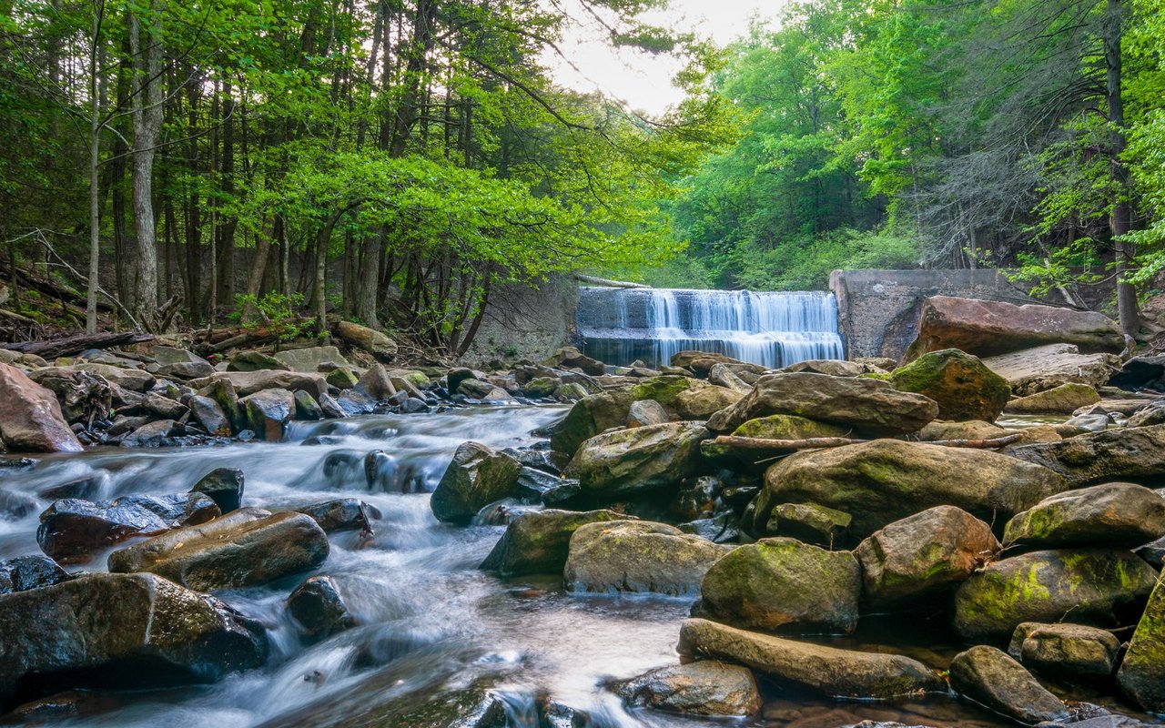 Signal Mountain