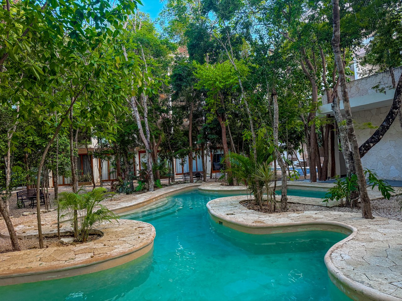 Studio Naia  | Incredible Price