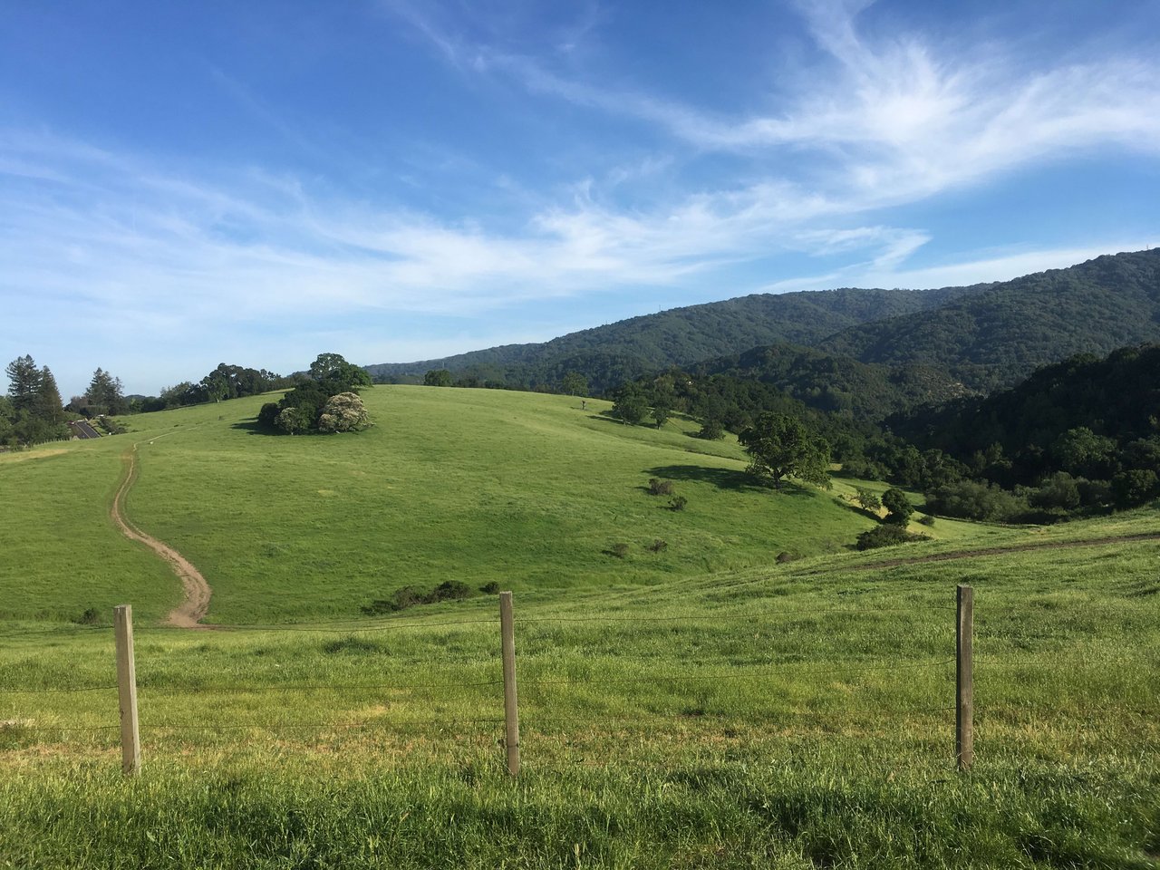 Photo of Los Altos Hills California Byrne Preserve