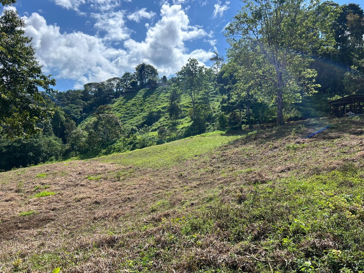 10-Acre Waterfall Farm with Amazing Valley and River View in San Isidro.