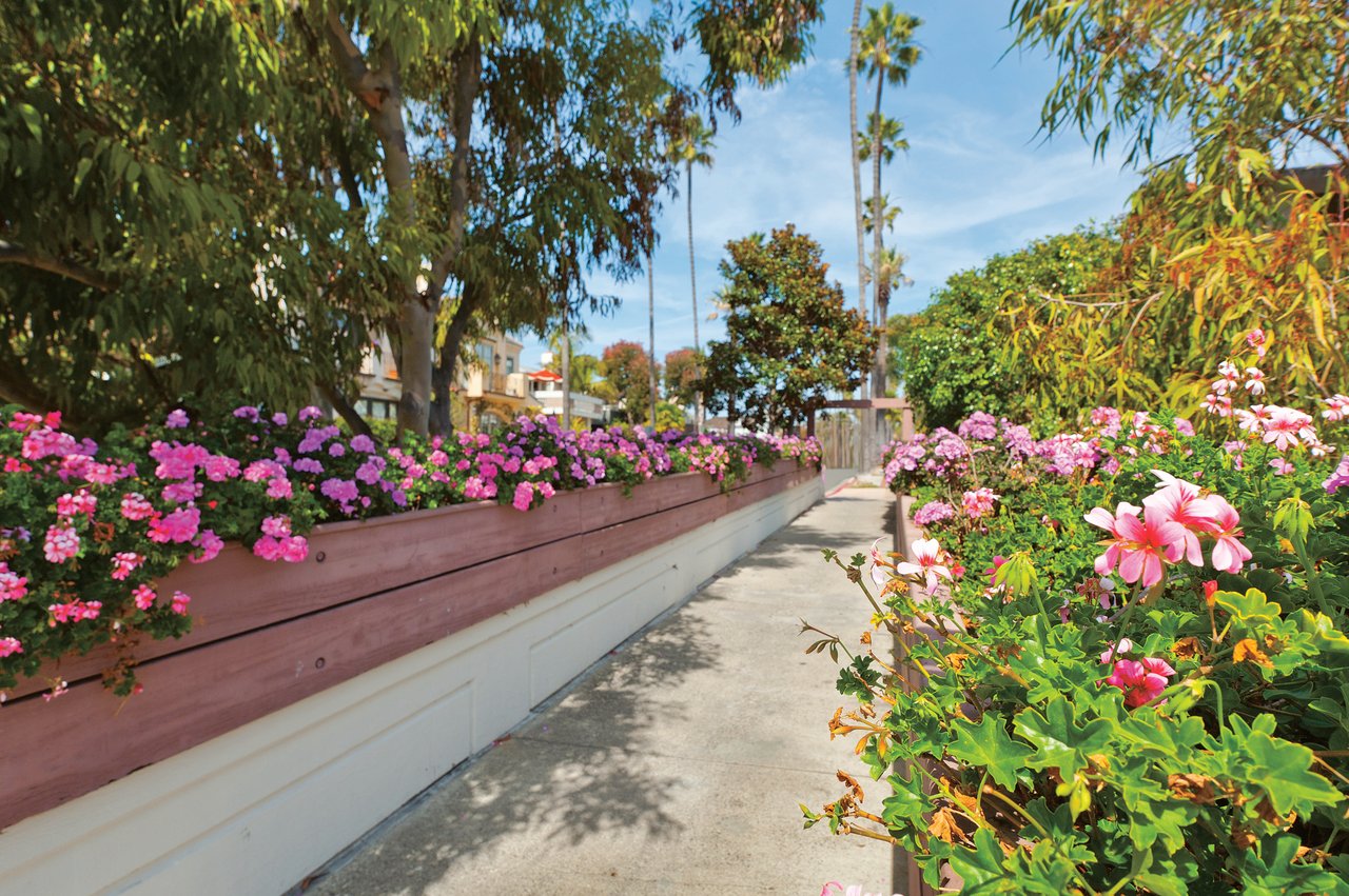 The Flower Streets