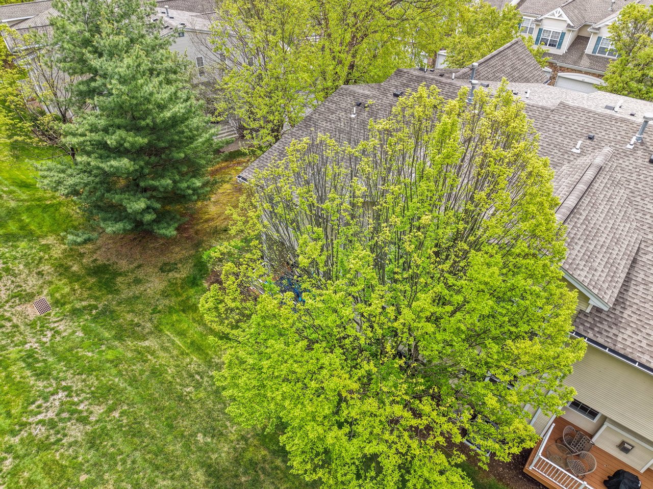 116 Wallace Ct
