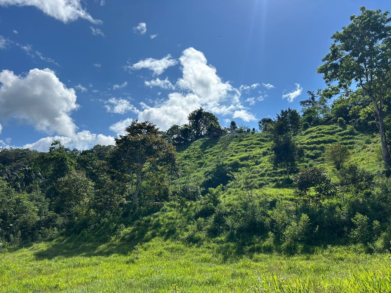 10-Acre Waterfall Farm with Amazing Valley and River View in San Isidro.