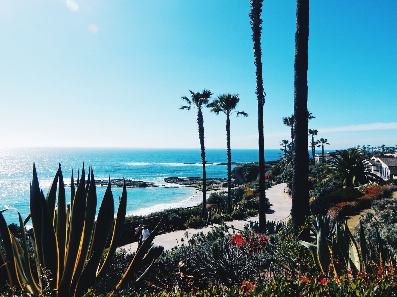 Palm-lined coastal walkway overlooking the Pacific Ocean.