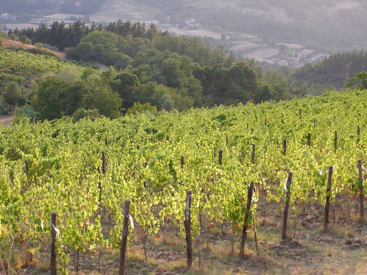 Beautiful Country House for Sale Just Outside of Florence